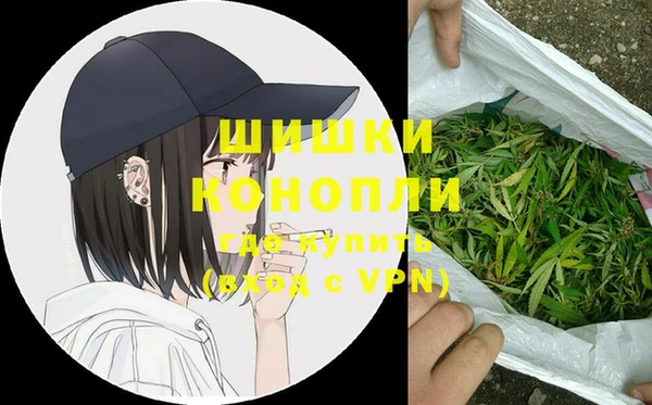 ПСИЛОЦИБИНОВЫЕ ГРИБЫ Михайлов