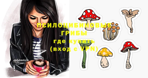 гидропоника Надым